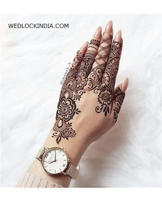 Fancy Mesh Motif Using Back Hand Mehndi Design
